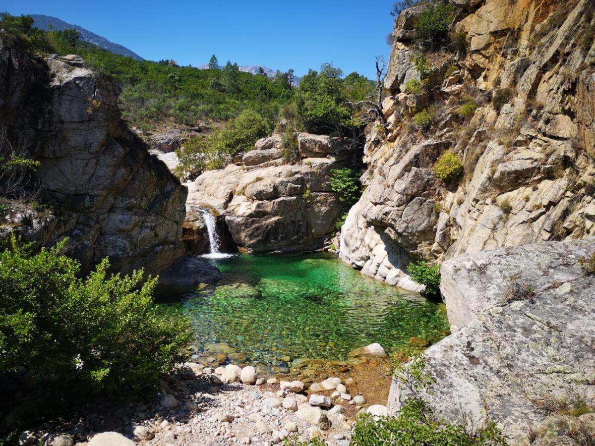 Un Petit Paradis Pinarellu Dış mekan fotoğraf