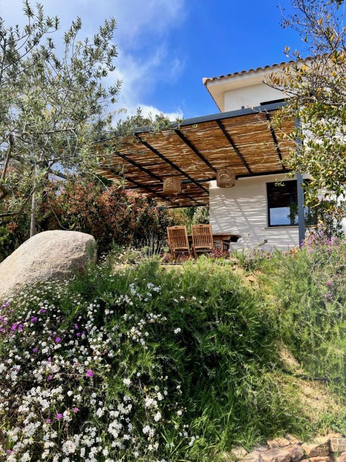 Un Petit Paradis Pinarellu Dış mekan fotoğraf
